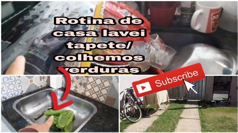 Rotina Da Casa Lavei Tapete Colhemos Verduras Youtube