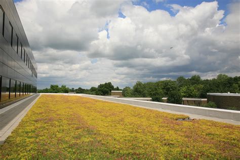 LiveRoof Global LLC Greenroofs