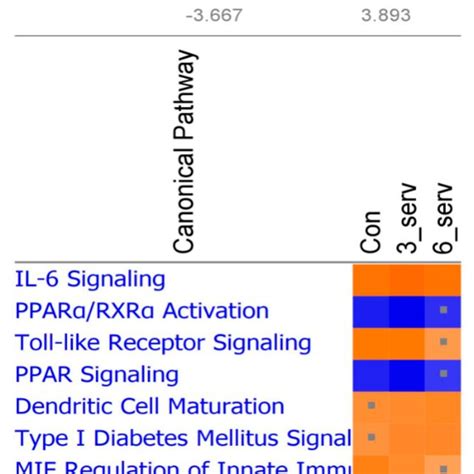 Canonical Pathways Constructed From Differentially Expressed Genes Download Scientific Diagram