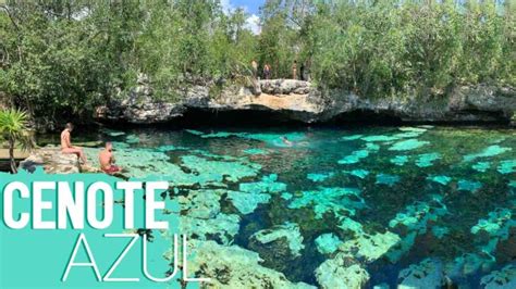 Tulum Cenote Azul - Everything You Need To Know