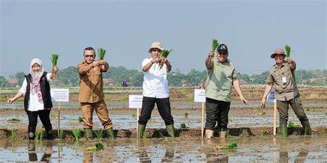 Foto Genjot Akselerasi Produksi Pertanian Ditjen Perkebunan Gelar