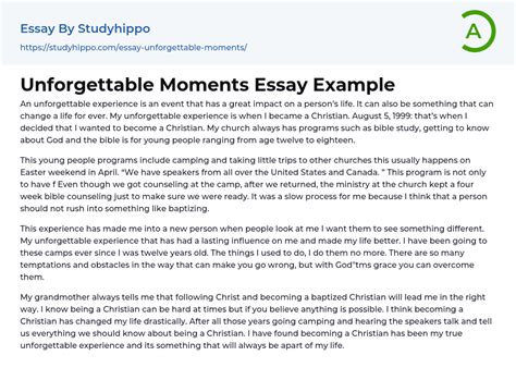 Unforgettable Moments Essay Example Studyhippo