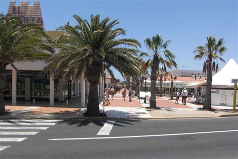 palm trees line the street as people walk by