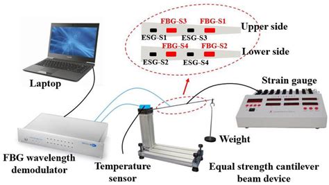 Sensors Free Full Text Advantageous Strain Sensing Performances Of