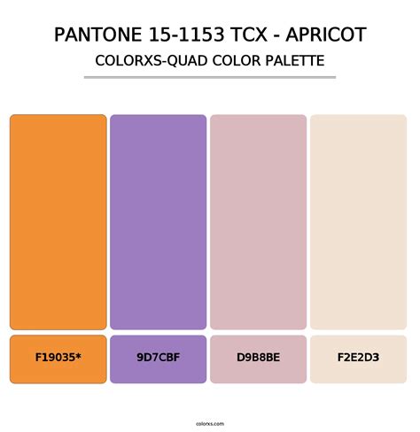 Pantone Tcx Apricot Color Palettes Colorxs