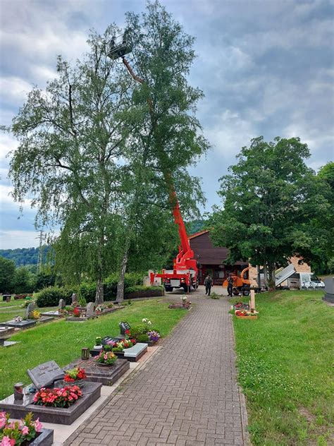 Gartenservice Und Rasenpflege In Zweibr Cken Bildergalerie