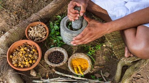 Ayurveda A Holistic Approach To Health And Personalized Medicine