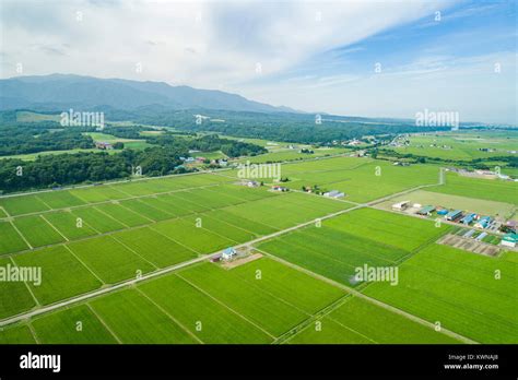 Ishikari river hi-res stock photography and images - Alamy