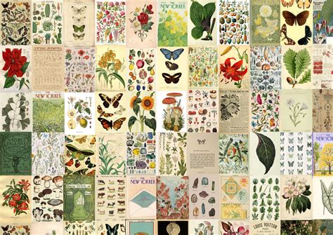 115 Pcs Botanical Poster Wall Collage Kit Vintage Poster Etsy