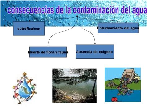 Contaminación Del Agua