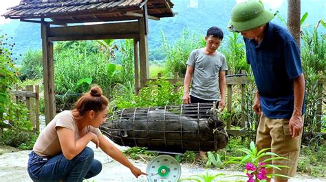 Pig Selling Process At The Farm Preparing To Raise A New Batch Of