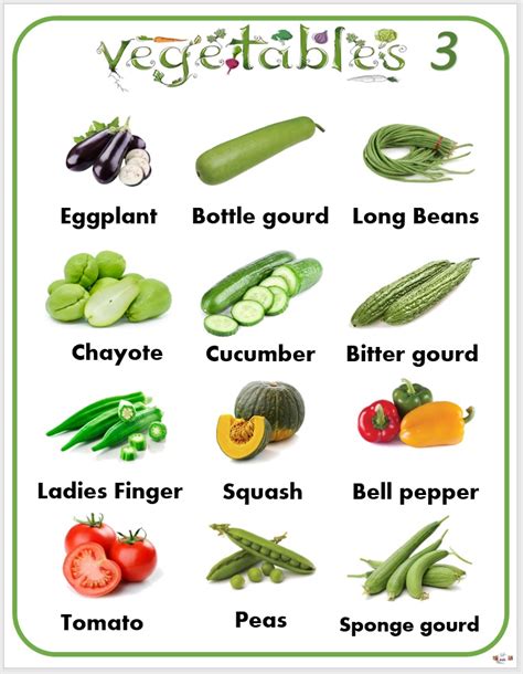 Laminated chart Vegetables-3 Educational chart for kids (size 8.5 x 11 inches) | Lazada PH