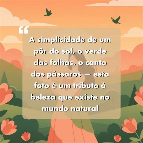 Frase Para Foto Sozinha Na Natureza - 140 Frases Para Foto Sozinha na Natureza