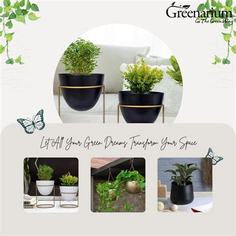 Transform Your Space with Vibrant Planting Pots