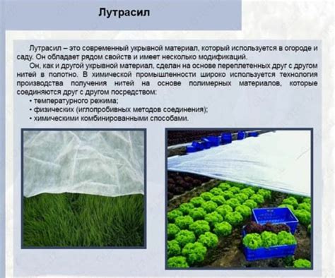 Лутрасил Что Это Такое Фото – Telegraph