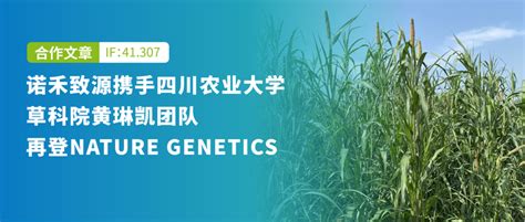 首个牧草（美洲狼尾草）图形泛基因组揭示耐热新机制 知乎