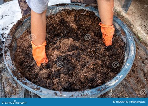 Farmer Hand Shoveling Compost From Manure Plant And Soil In Bucket