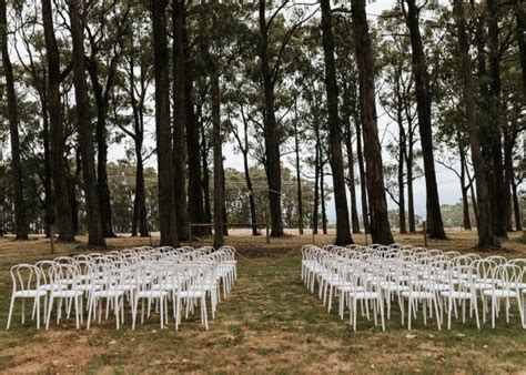 Bentwood Chair White Betta Event Hire