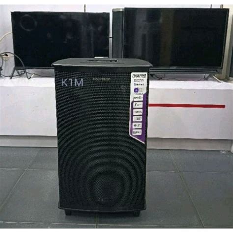 Jual Speaker Polytron Portable PAS PRO10F6 10 Inch 2 Mic Wireless