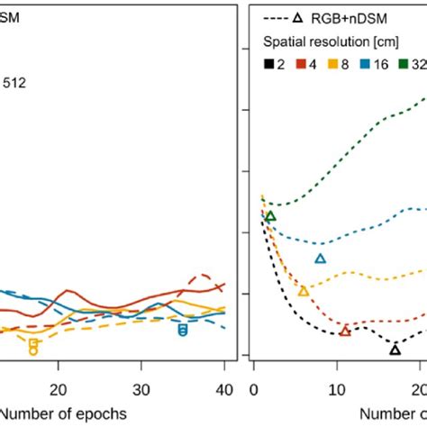 Validation Loss During CNN Model Training Curves Were Smoothed For