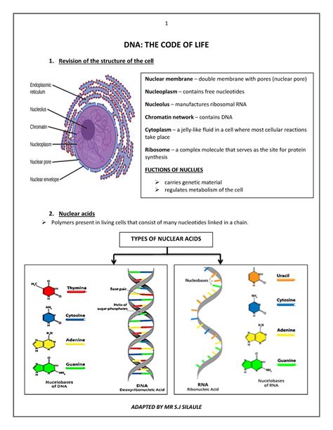 Dna The Code Of Life Notes 2019 Dna The Code Of Life 1 Revision Of