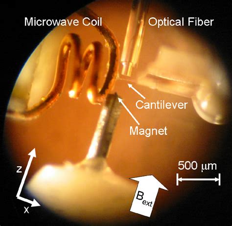 High Sensitivity Electron Spin Resonance By Magnetic Resonance Force