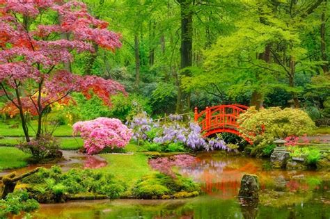 Parque jardín japonés de clingendael la haya países bajos Foto Premium