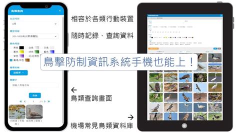 強化鳥擊防制 民航局著手建立大數據資料 生活 強化鳥擊防制 民航局著手建立大數據資料 青年日報