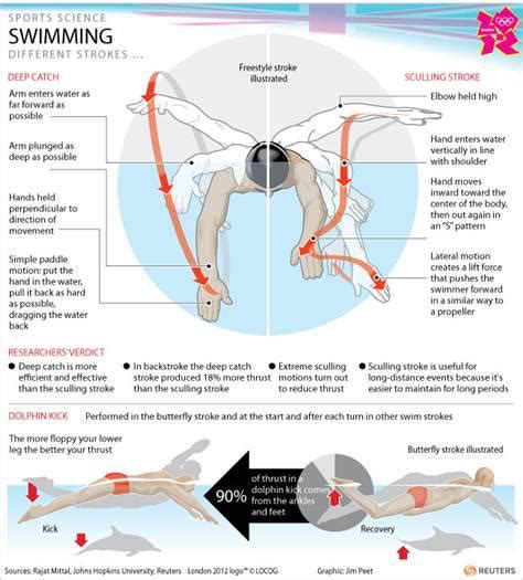 The Freestyle Stroke Illustrated And Explained Scrolller