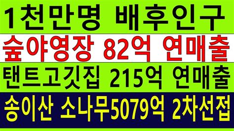 싼임야 개발가능 2차선접 계획관리포함 수~만평 297억연매출숲야영장캠핑교회탠트고깃집 1시간 반경 1천만명 소나무5079억