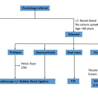 -Monthly Number of Proctology Cases | Download Scientific Diagram