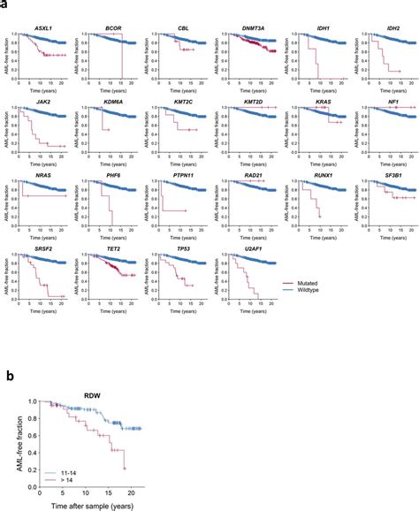 Aml Free Survival Based On Mutation Status And Rdw A Kaplanmeier