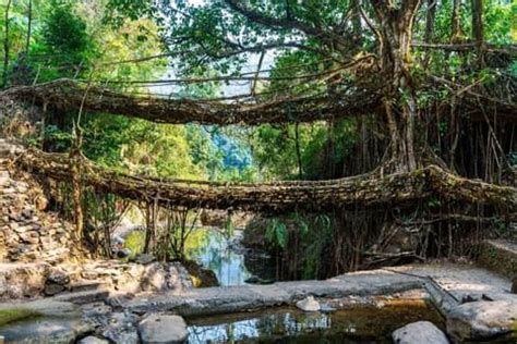 Highlights of Meghalaya with FREE Visit to Double Decker Root Bridge