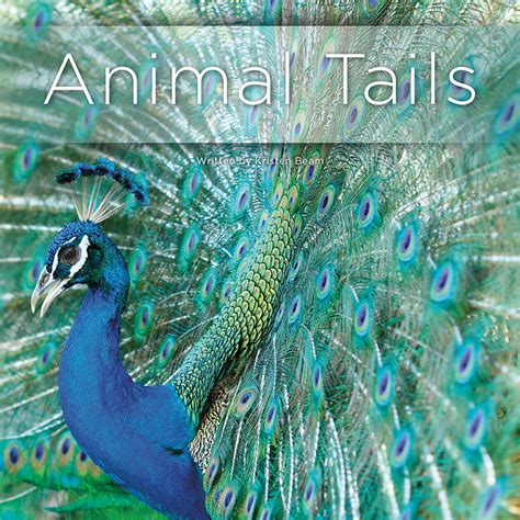 Animal Tails – Pioneer Valley Books