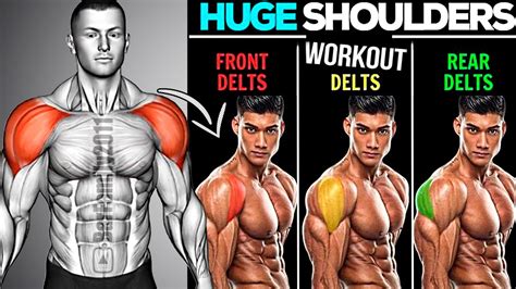 10 Best Exercises For Bigger Shoulders Delts And Traps Workout