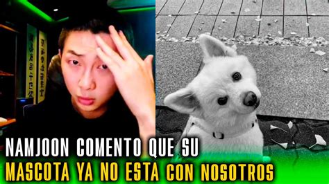 Namjoon Coment Que Su Mascota Ya No Est Con Nosotros Youtube