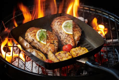 Ninja Woodfire Grill Recipes