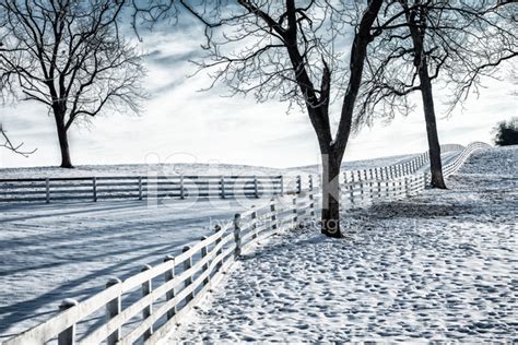 winter farm stock photo royalty  freeimages