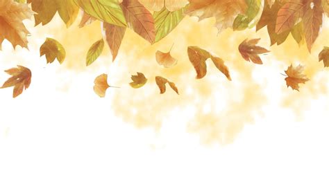white nature beautiful watercolor autumn water fall autumn day