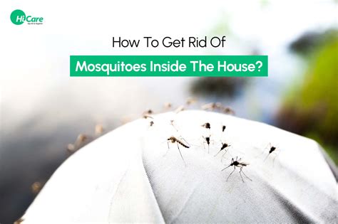 How To Get Rid Of Mosquitoes In The House And Outdoor Tips