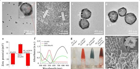 Characterization Of PC 10 A DOX HAuNS Nanogels And PC 10 A DOX HAuNS