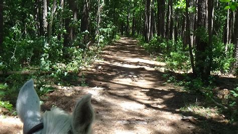 Wednesday June 23 2021 Ride Day At Stephen A Forbes State Park