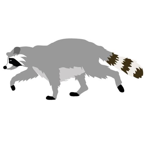 Free Raccoon Clipart Pictures - Clipartix