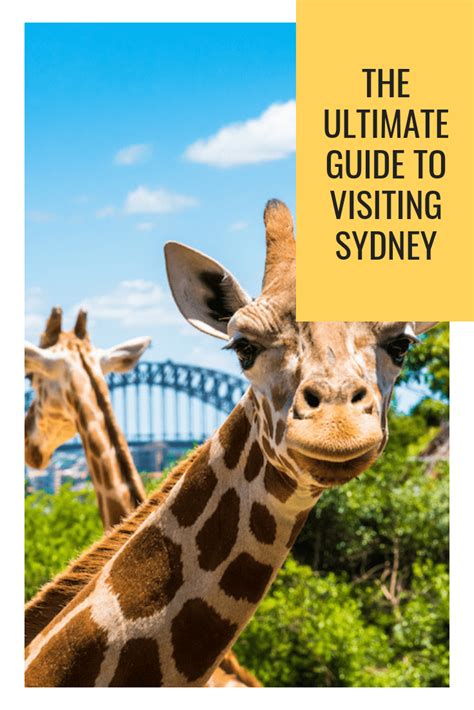 The Ultimate Guide To Visiting Sydney