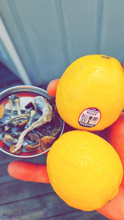 Lemon tek. : r/shrooms