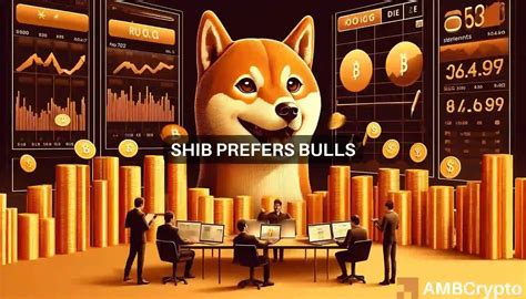 Will Shiba Inu Crash Analyzing What S Ahead For SHIB S Price AMBCrypto