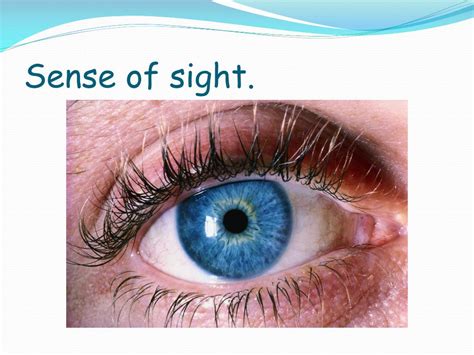 PPT - Sense of sight . PowerPoint Presentation, free download - ID:2793601