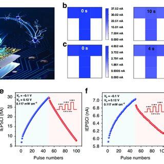 Simulation Of Image Memory And Recognition Ability A Schematic Diagram