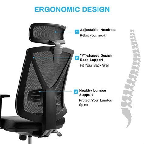BASETBL Ergonomic Office Chair | BASETBL