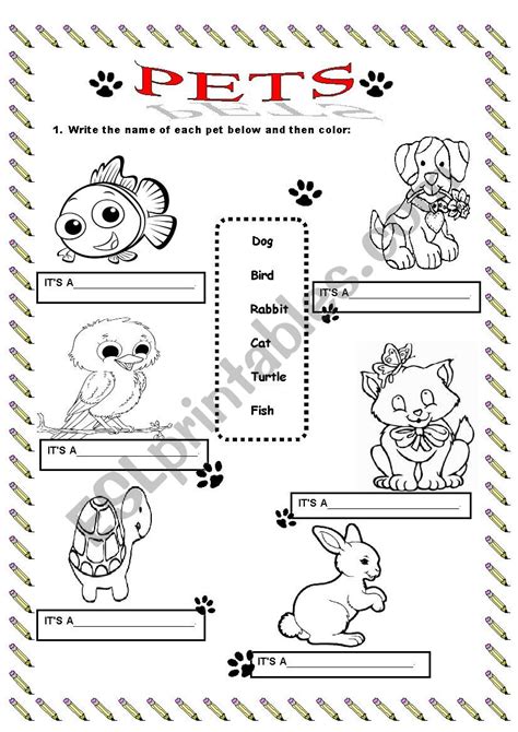 PETS ESL Worksheet By Andressabr